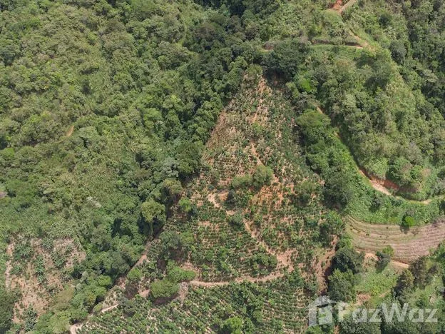 Land for Sale in Perez Zeledon, San Jose for $825,000, photo 7