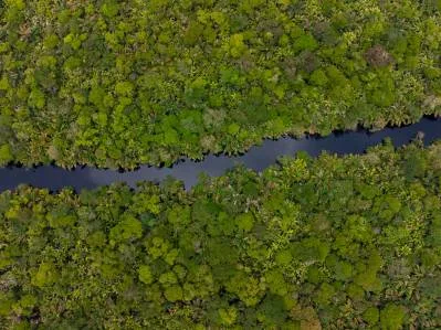 Excepcional Propiedad En Tortuguero, Situada Entre La Playa Y El Canal