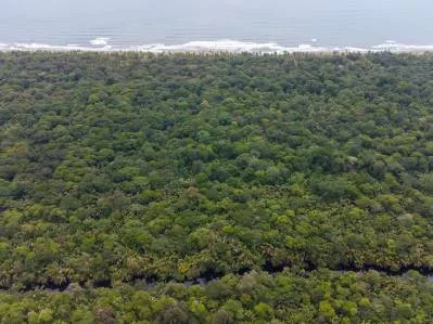 Excepcional Propiedad En Tortuguero, Situada Entre La Playa Y El Canal, photo 4