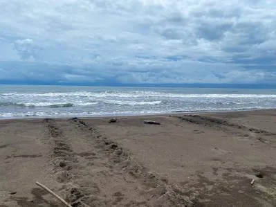 Excepcional Propiedad En Tortuguero, Situada Entre La Playa Y El Canal, photo 5