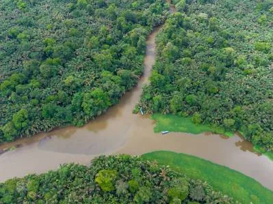 Excepcional Propiedad En Tortuguero, Situada Entre La Playa Y El Canal, photo 6