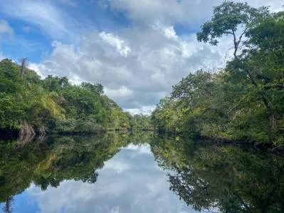 Excepcional Propiedad En Tortuguero, Situada Entre La Playa Y El Canal, photo 8