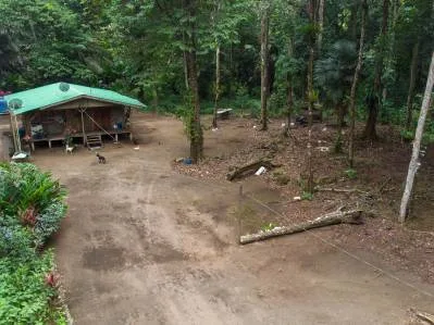 Excepcional Propiedad En Tortuguero, Situada Entre La Playa Y El Canal, photo 9