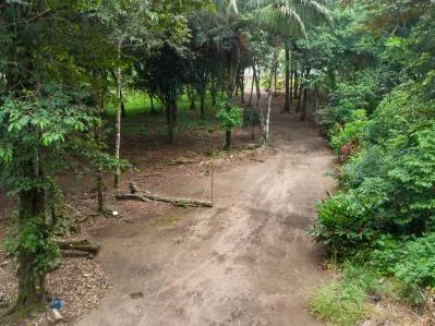 Excepcional Propiedad En Tortuguero, Situada Entre La Playa Y El Canal, photo 10