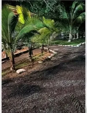 Equestrian and Agricultural Farm for Sale – 6 Ha – Stables and Houses, photo 4