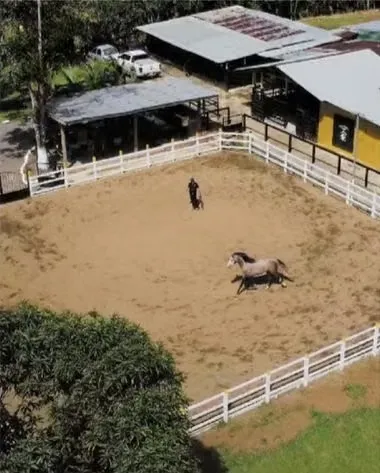 Equestrian and Agricultural Farm for Sale – 6 Ha – Stables and Houses, photo 10