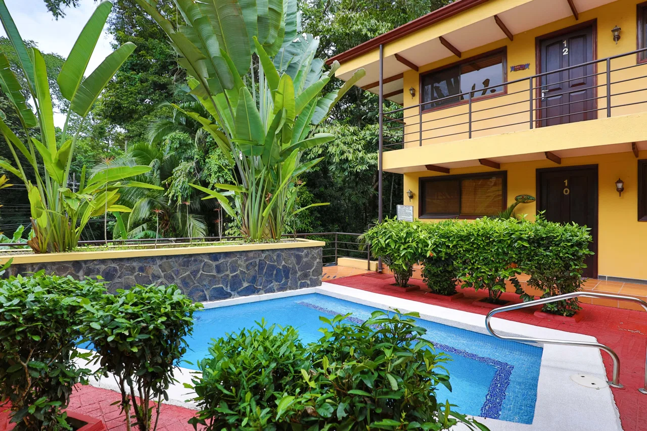Mono Titi 2 Manuel Antonio – HBR Exclusive