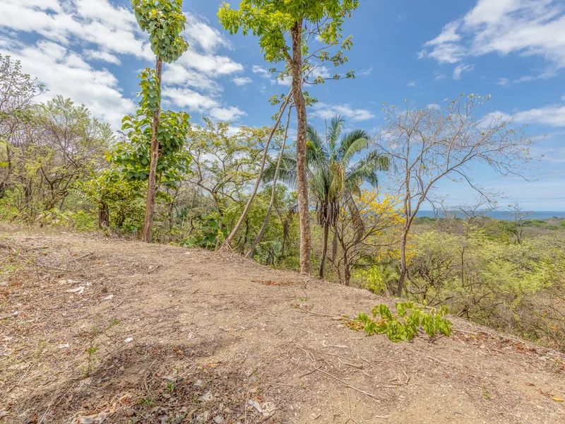 Land For Sale in Nosara, photo 2