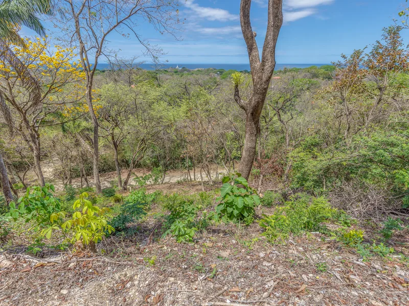 Land For Sale in Nosara, photo 3