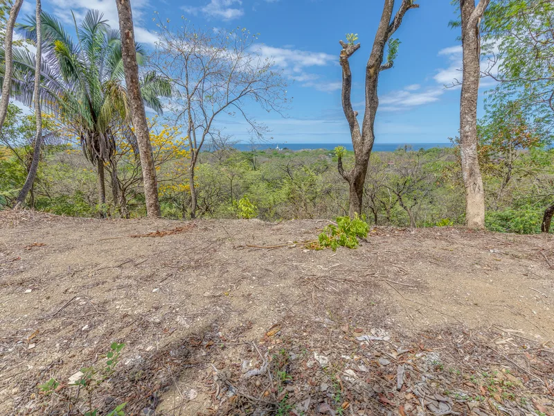Land For Sale in Nosara, photo 4