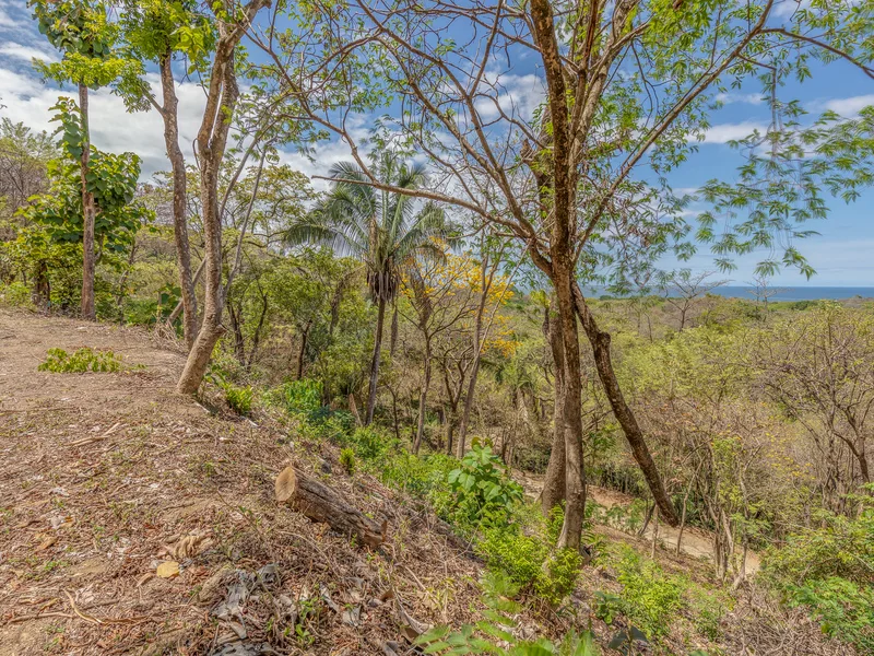 Land For Sale in Nosara, photo 5