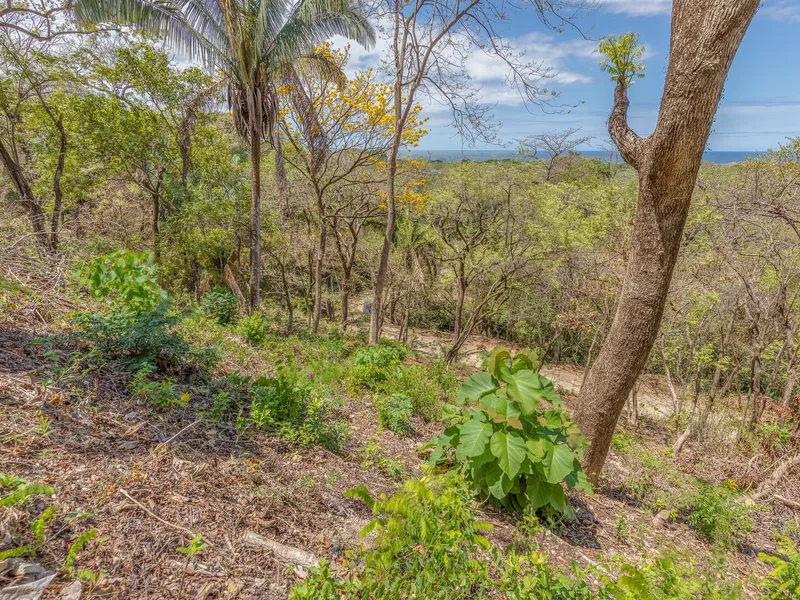 Land For Sale in Nosara, photo 7