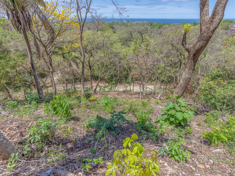 Land For Sale in Nosara, photo 8