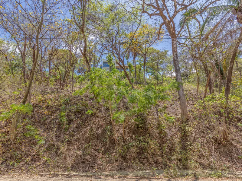 Land For Sale in Nosara, photo 9