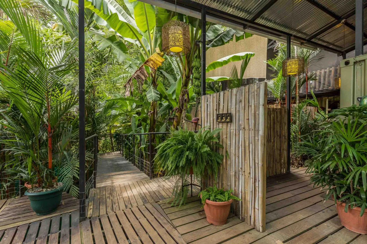 COMMERCIAL PROPERTY WITH A YOGA STUDIO, IN DOMINICAL – 0.45 ACRES, photo 3