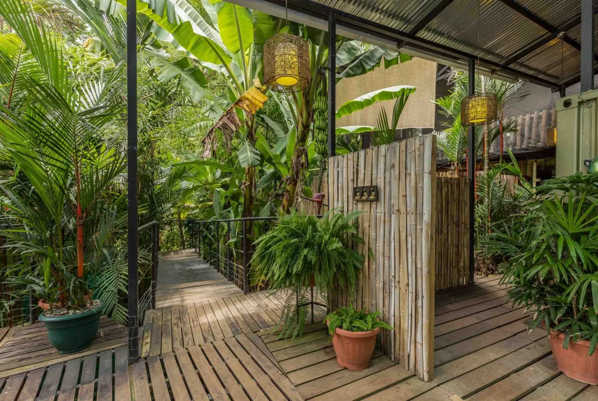COMMERCIAL PROPERTY WITH A YOGA STUDIO, IN DOMINICAL – 0.45 ACRES, photo 4