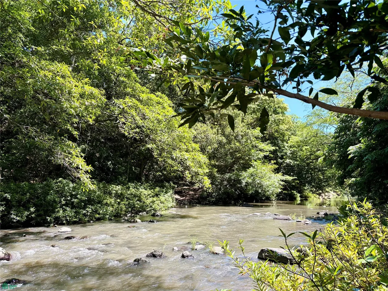 Finca con Río Represa de Sandillal, Canas, Guanacaste 50601