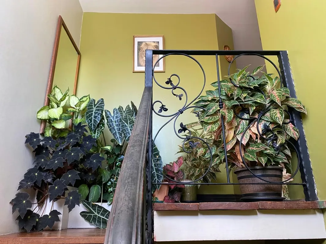Casa en venta en Campo Bello, San Francisco de Heredia | 3 habitaciones + bar y terraza, photo 16