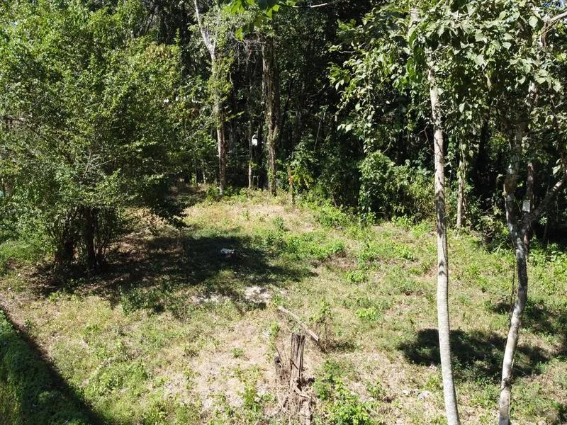 Land For Sale in Santa Teresa