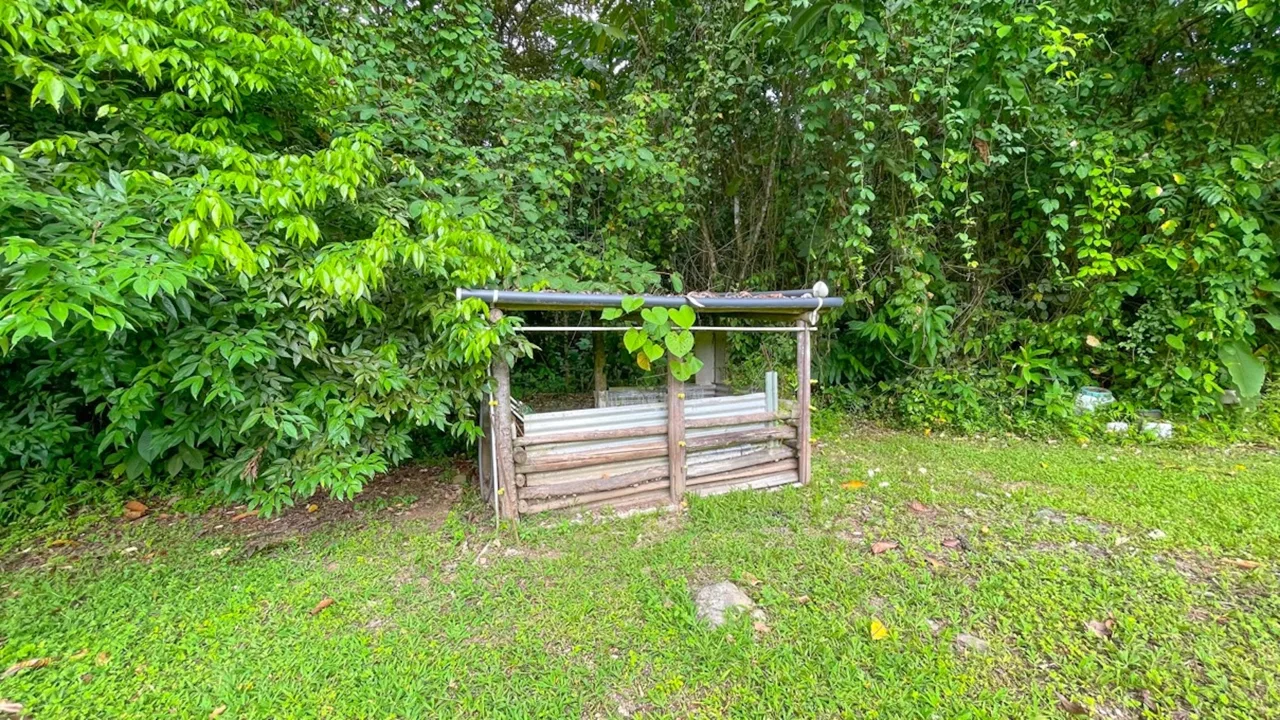 CONTEMPORARY TROPICAL RETREAT WITH A LARGE LOT, IN OJOCHAL – 2 ACRES, photo 24