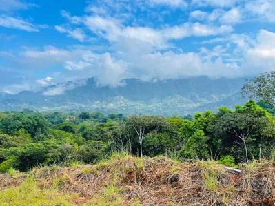 LOTE ÉPICO EN PRIMERA FILA CON VISTA AL OCÉANO Y AL RÍO, photo 8