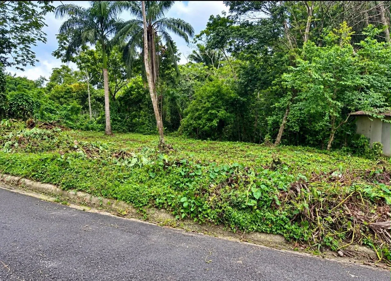 Two Prime Lots for Sale – Paradise, Manuel Antonio, Costa Rica