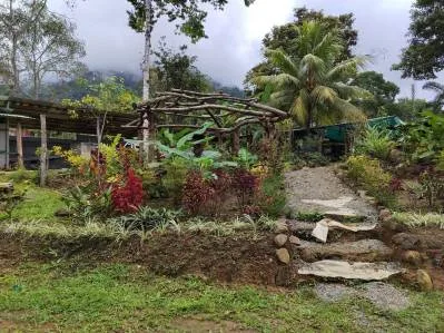 FINCA LA PAZ FARM WITH AMAZING MOUNTAIN VIEWS, CREEK AND COOL CLIMATE – 4 ACRES, photo 3