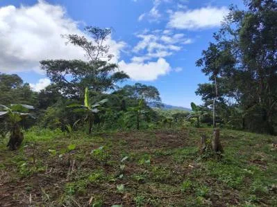 FINCA LA PAZ FARM WITH AMAZING MOUNTAIN VIEWS, CREEK AND COOL CLIMATE – 4 ACRES, photo 6