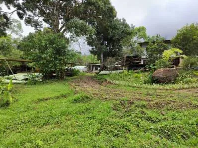 FINCA LA PAZ FARM WITH AMAZING MOUNTAIN VIEWS, CREEK AND COOL CLIMATE – 4 ACRES, photo 10