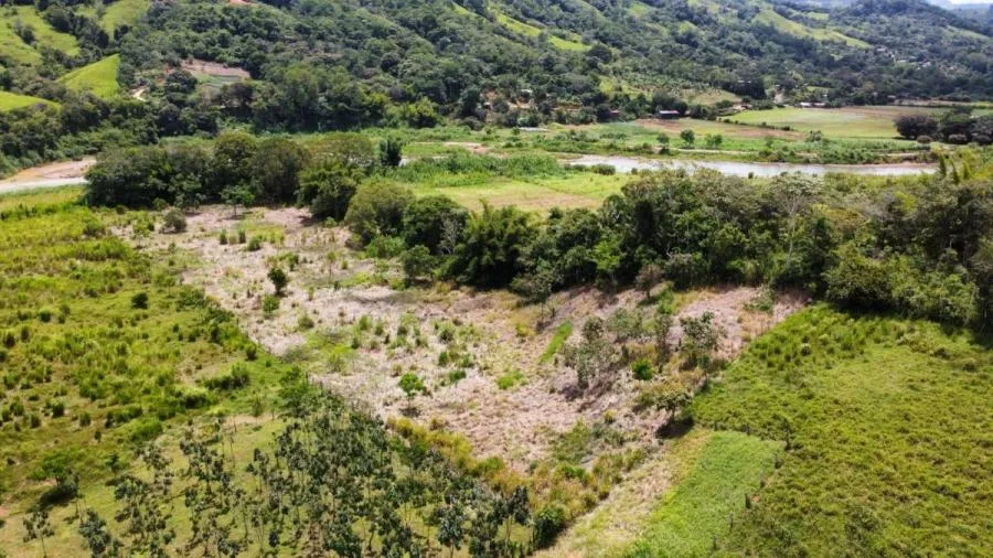 SE VENDE FINCA CERCA DEL RÍO CON POTENCIAL DE DESARROLLO - Venta en Perez Zeledón, photo 12