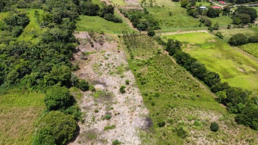 SE VENDE FINCA CERCA DEL RÍO CON POTENCIAL DE DESARROLLO - Venta en Perez Zeledón, photo 13