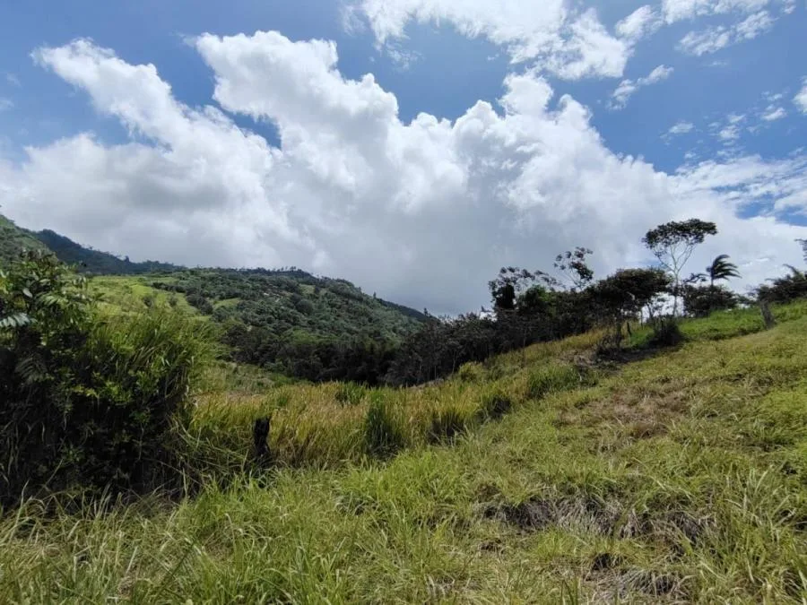 SE VENDE FINCA CERCA DEL RÍO CON POTENCIAL DE DESARROLLO - Venta en Perez Zeledón, photo 6