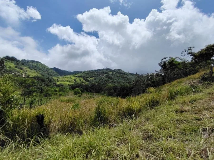 SE VENDE FINCA CERCA DEL RÍO CON POTENCIAL DE DESARROLLO - Venta en Perez Zeledón, photo 8