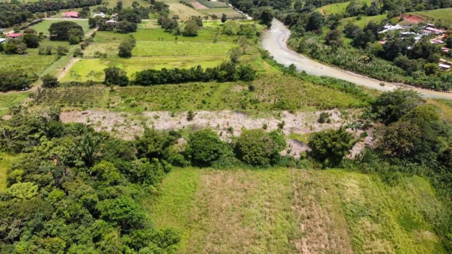 SE VENDE FINCA CERCA DEL RÍO CON POTENCIAL DE DESARROLLO - Venta en Perez Zeledón, photo 9