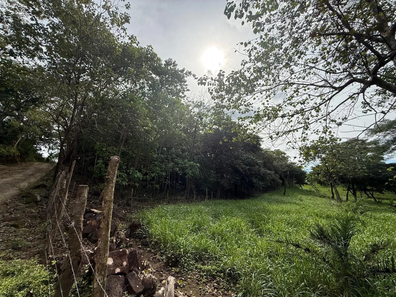 Lote en Venta en Curubande ,Liberia