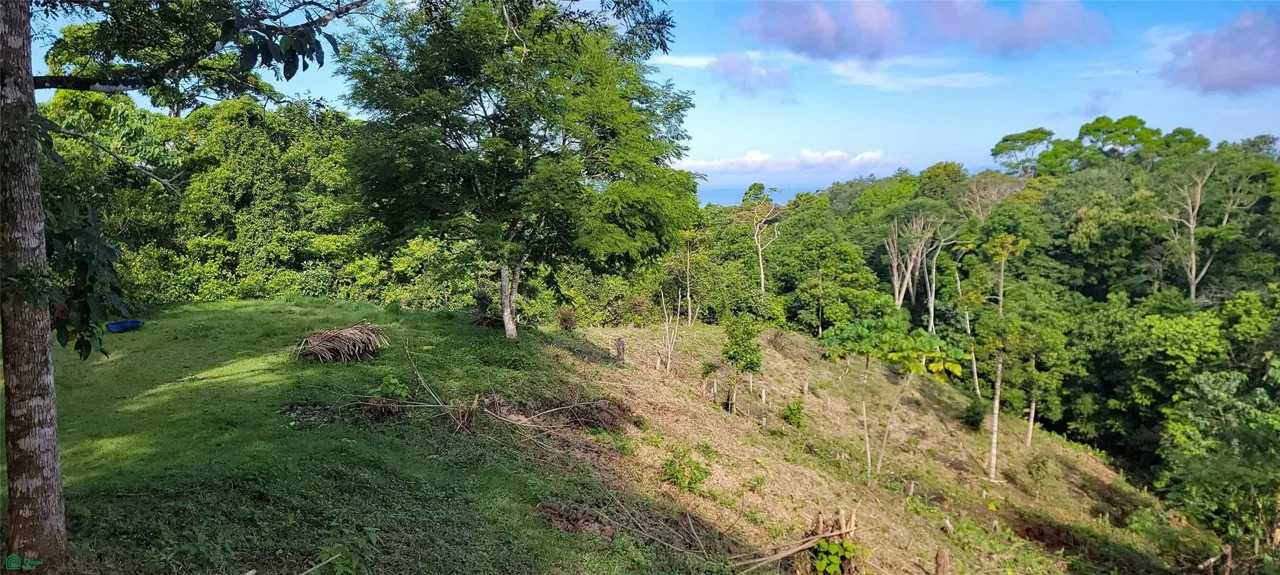 Finca Estrella, Pavon, Puntarenas 60704