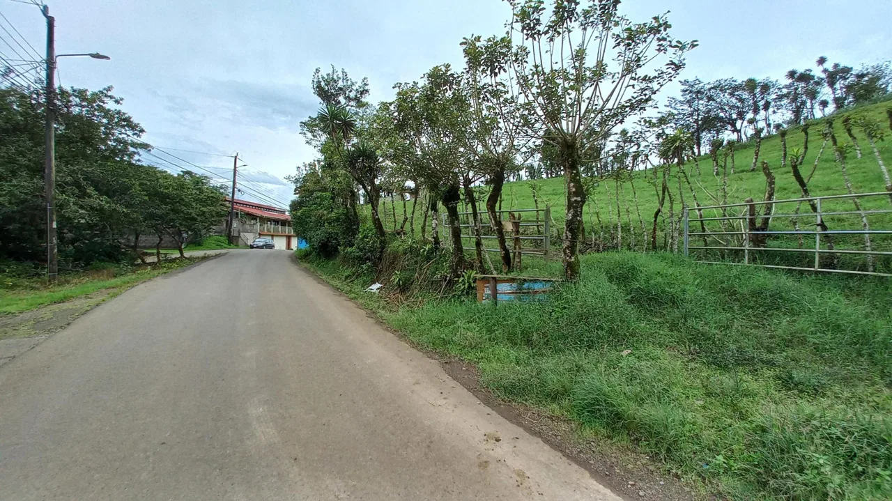 Lote en Venta en Volio ,San Ramon, photo 2