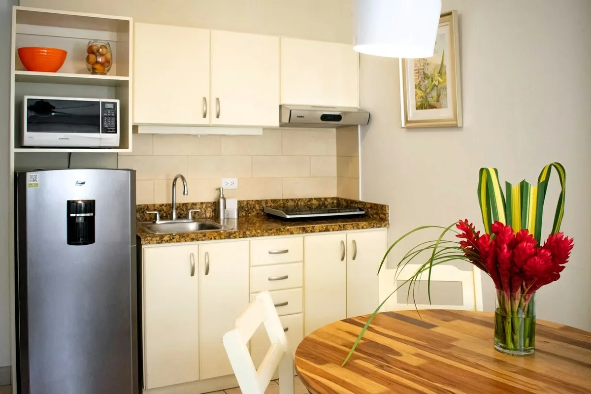 APARTAMENTO FULL AMUEBLADO EN SABANA NORTE, MATA REDONDA (POR ROSTI, AGENCIA DATSUN, ESTADIO NACIONAL, ICE, ETC.).