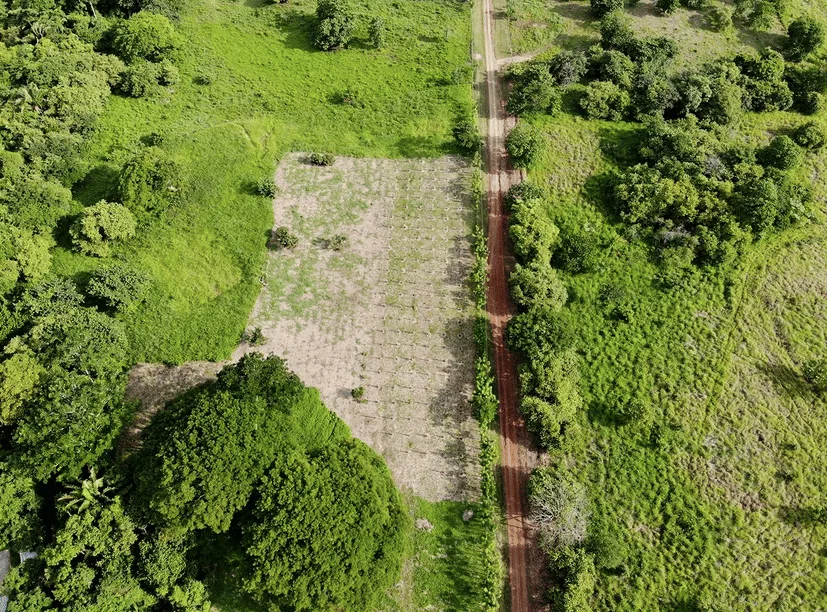 La Reserva Camaronal Commercial Lot | Playa Camaronal, Zapotal, Nandayure, Guanacaste