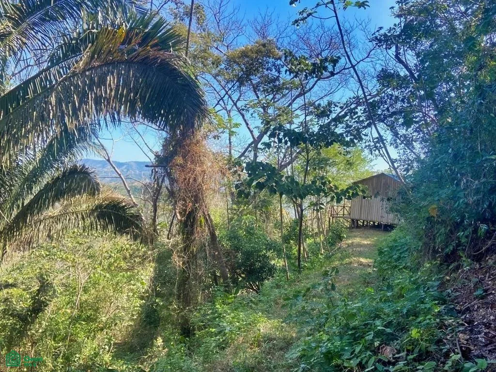 Ocean View Finca Playa Carrillo, photo 11