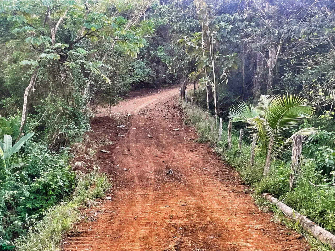 Ocean View Finca Playa Carrillo, photo 14