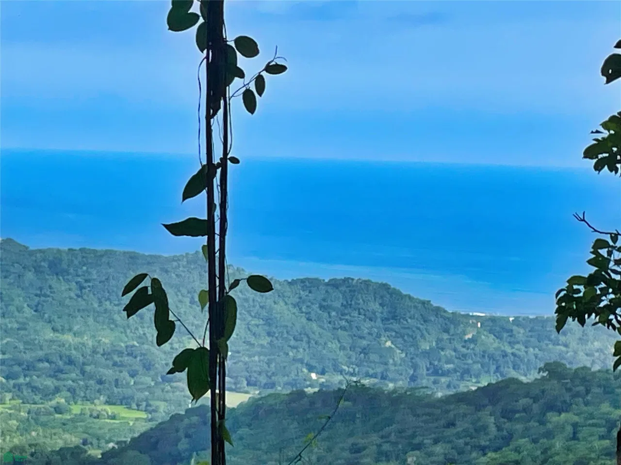 Ocean View Finca Playa Carrillo, photo 3