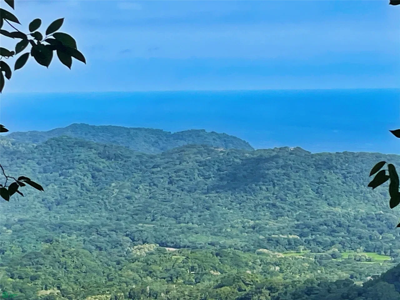 Ocean View Finca Playa Carrillo, photo 4