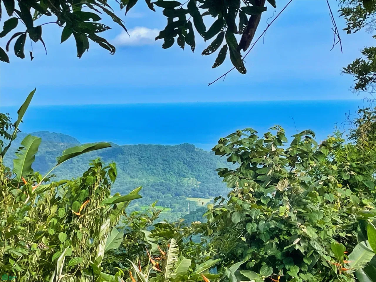 Ocean View Finca Playa Carrillo, photo 5