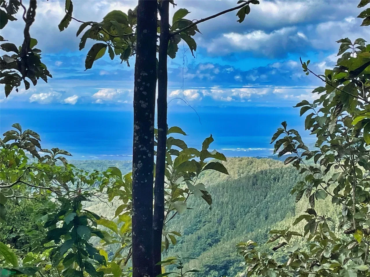 Ocean View Finca Playa Carrillo, photo 7