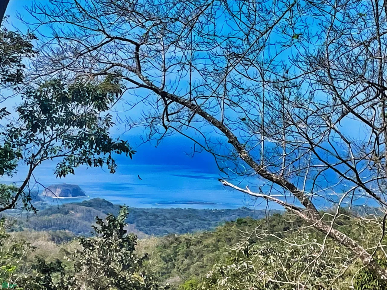 Ocean View Finca Playa Carrillo, photo 8