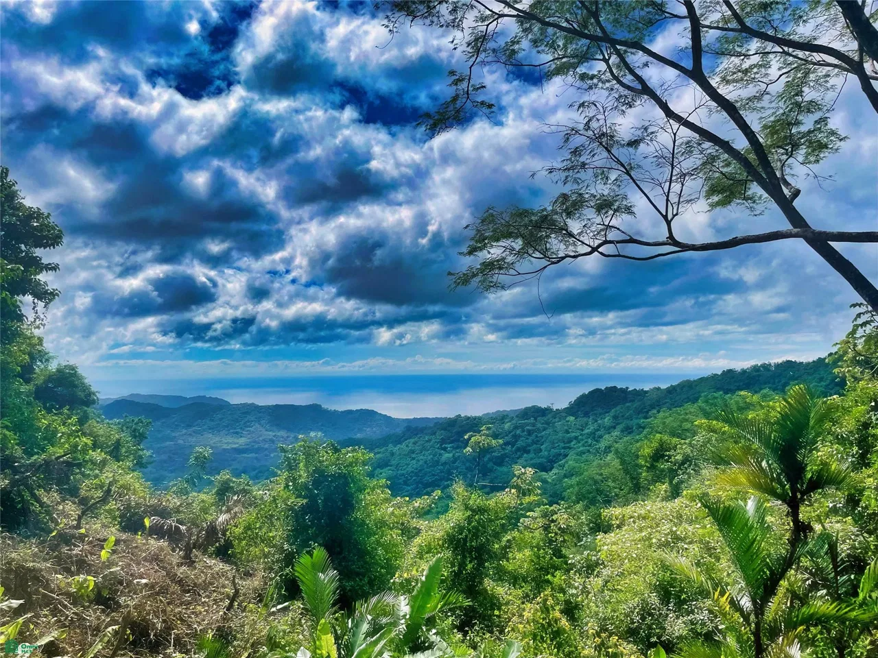 Ocean View Finca Playa Carrillo, photo 10