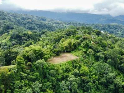 Impresionantes Vistas a las Montañas, al Río y al Océano en un Clima Ideal, photo 6