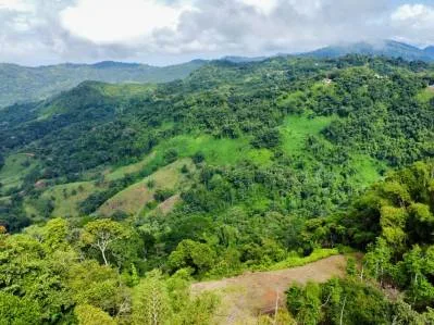 Impresionantes Vistas a las Montañas, al Río y al Océano en un Clima Ideal, photo 7