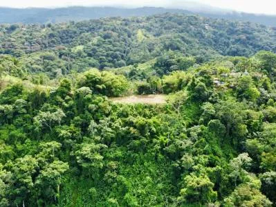 Impresionantes Vistas a las Montañas, al Río y al Océano en un Clima Ideal, photo 8